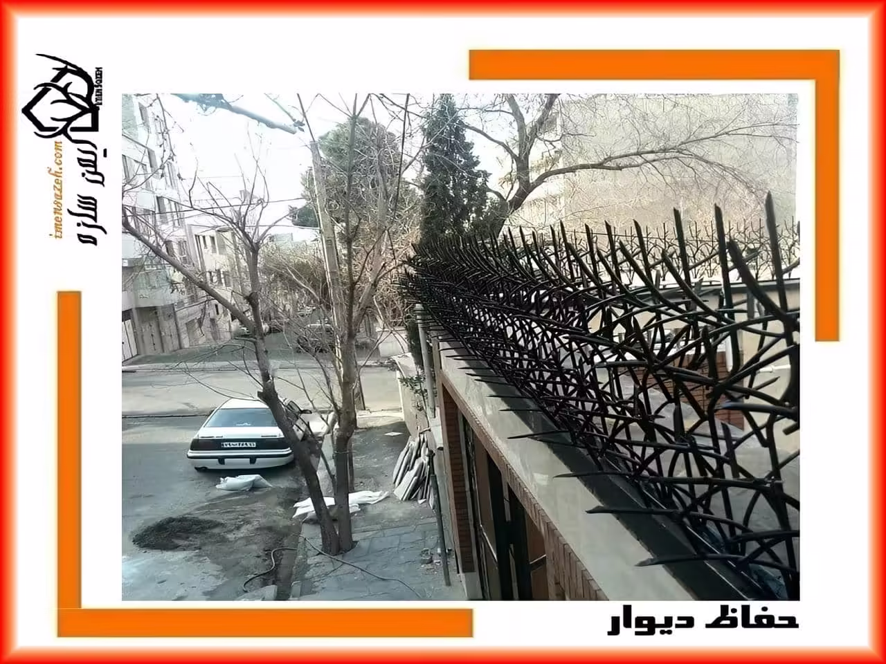 انتخاب رنگ مناسب حفاظ شاخ گوزنی