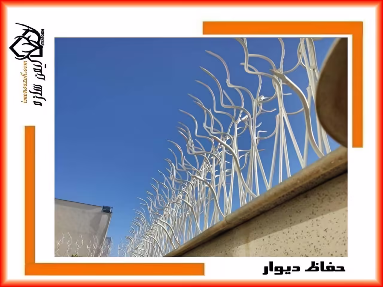 ساختار حفاظ شاخ گوزنی ساختار حفاظ شاخ گوزنی