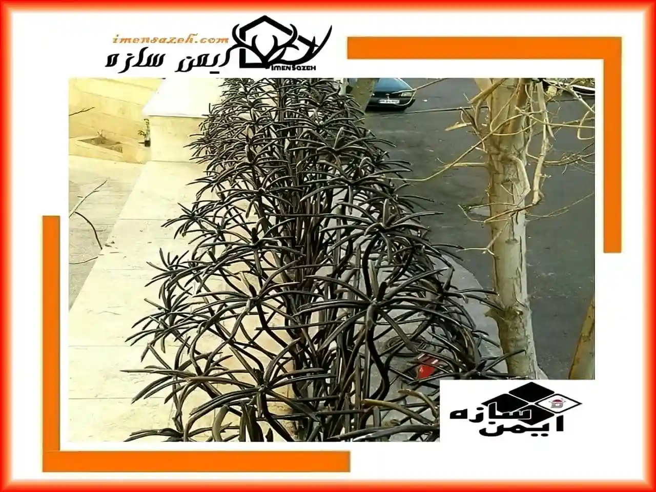فنس نخل مرداب