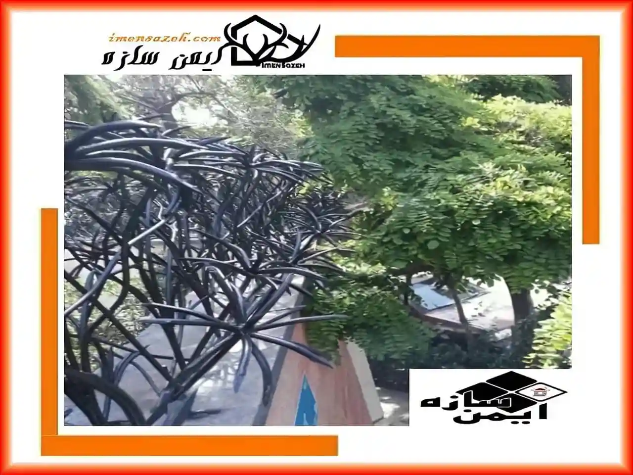 حصار نخل مرداب