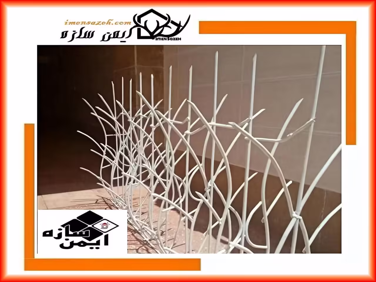 بررسی حفاظ نیزار بررسی حفاظ نیزار