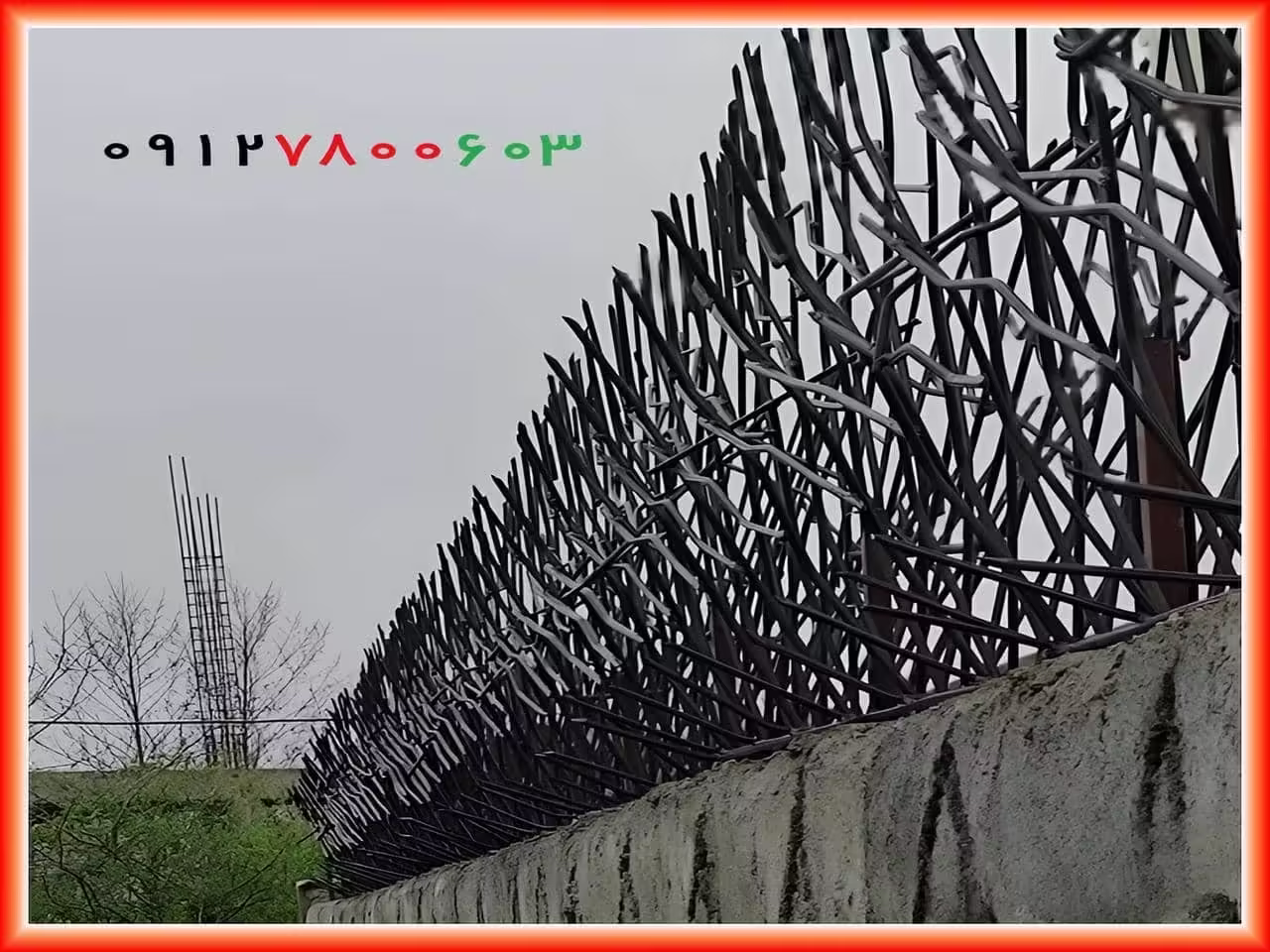 خرید حفاظ شاخ گوزنی خرید حفاظ شاخ گوزنی