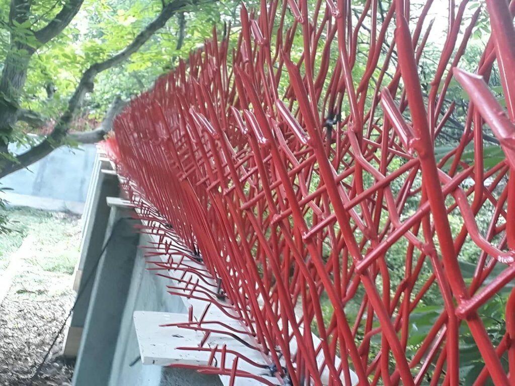 حفاظ خاردار حفاظ خاردار