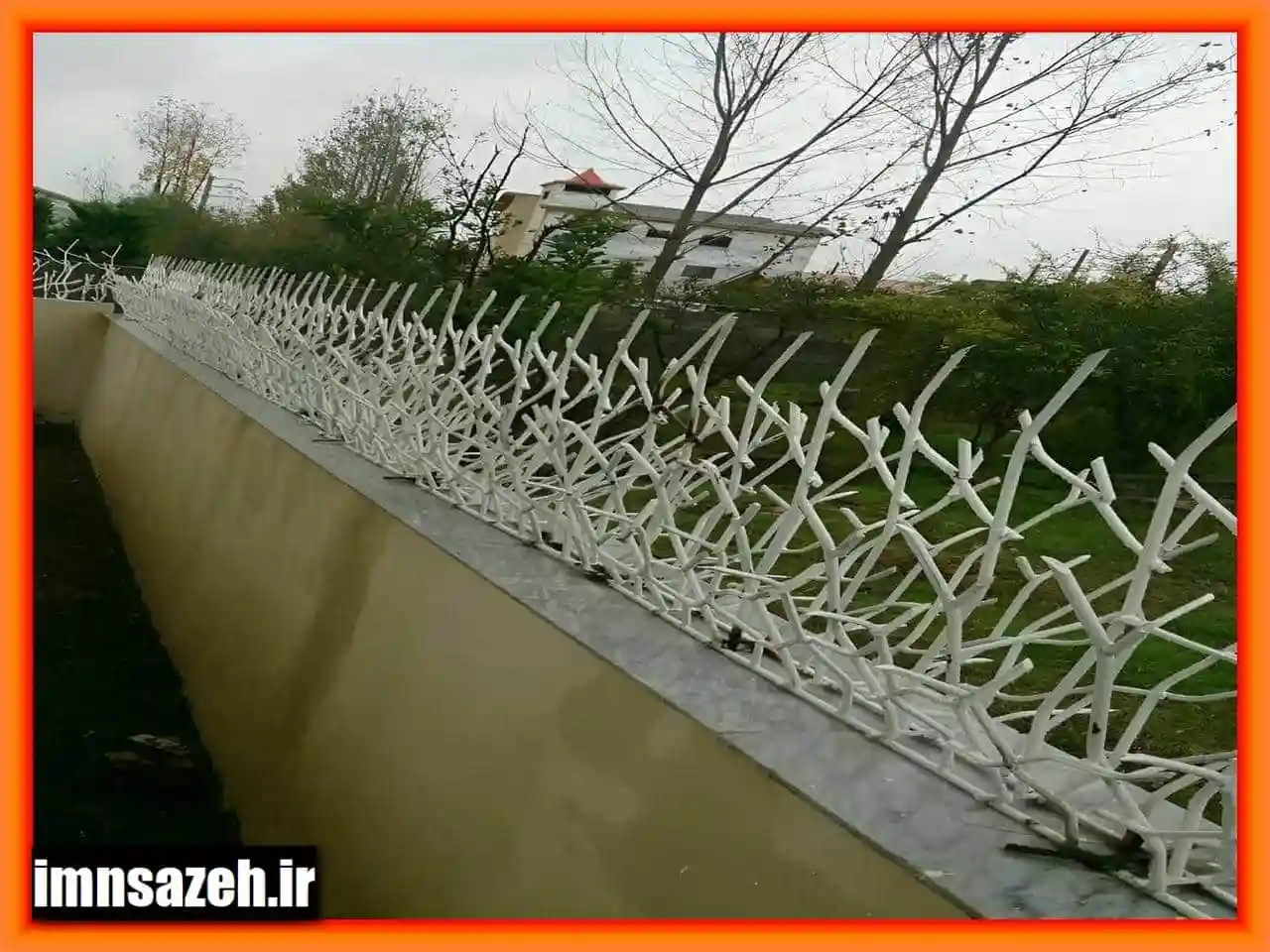قیمت حفاظ شاخ گوزنی چقدر است؟ قیمت حفاظ شاخ گوزنی چقدر است؟
