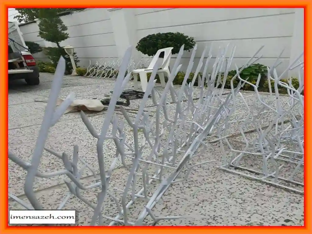 خرید انواع شاخ گوزنی