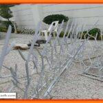 خرید انواع شاخ گوزنی