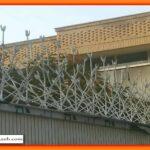 ویژگی ها و کاربردهای حفاظ شاخ گوزنی