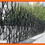 حفاظ شاخ گوزنی و نکات خرید