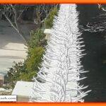 نکات مهم در انتخاب حفاظ شاخ گوزنی