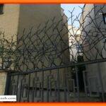 راهنمای خرید حفاظ شاخ گوزنی