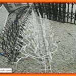 انتخاب حفاظ شاخ گوزنی مناسب