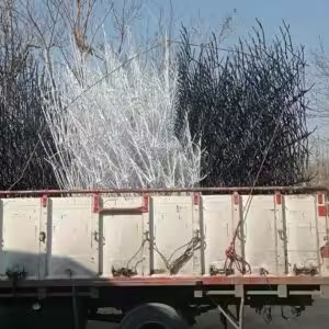 محاسبه قیمت هر متر حفاظ نرده شاخ گوزنی محاسبه قیمت هر متر حفاظ نرده شاخ گوزنی