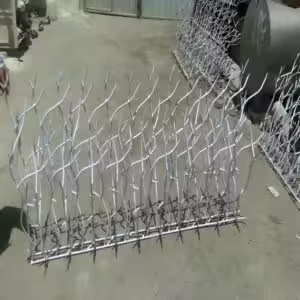 محصول بدون عنوان