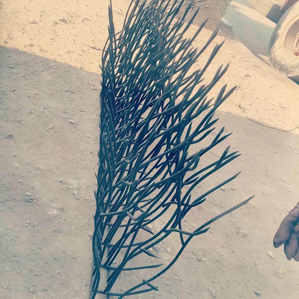 قیمت حفاظ شاخ گوزنی خدمات دوره ای در دماوند