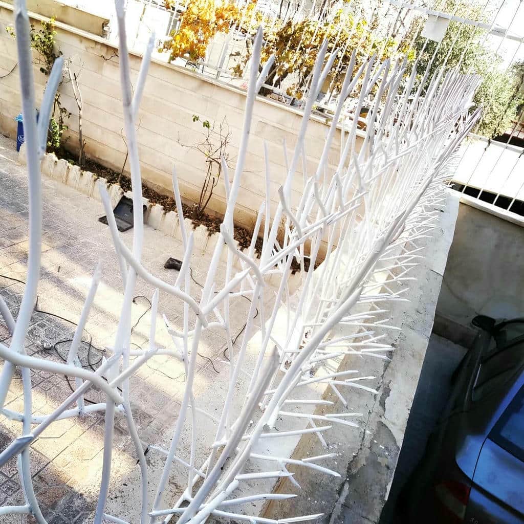کارخانه حفاظ شاخ گوزنی تراکم بالا در کاشان