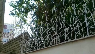 حفاظ شاخ گوزنی در شهریار