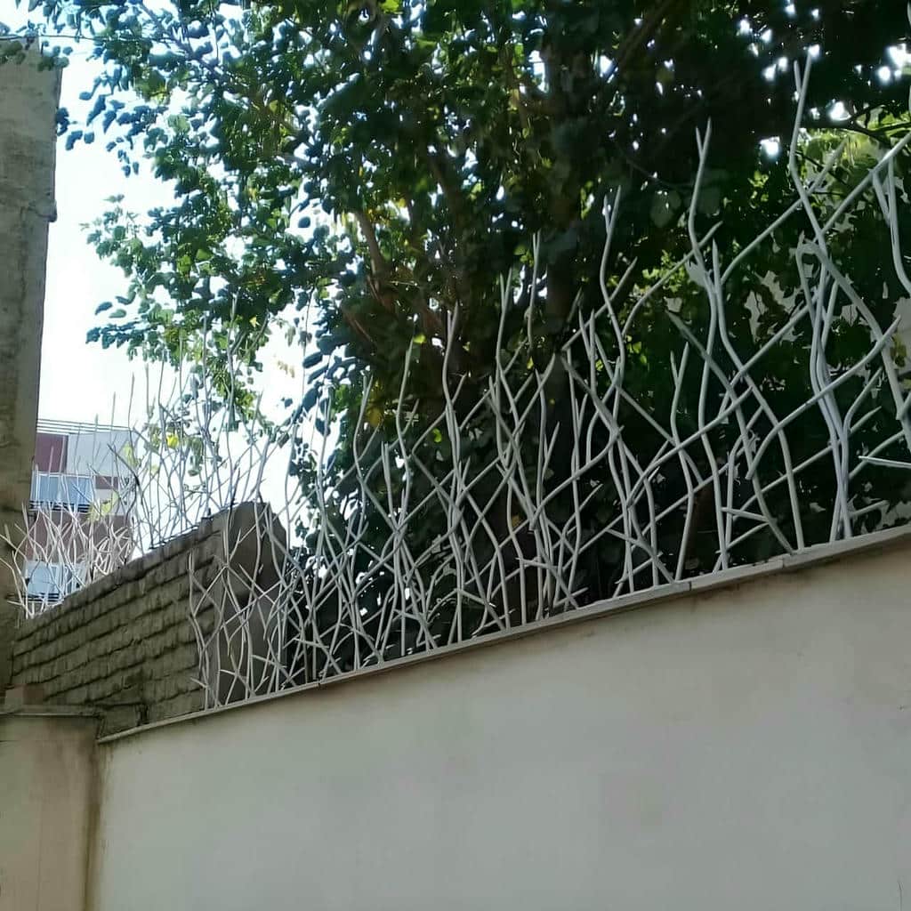 حفاظ شاخ گوزنی در شهریار