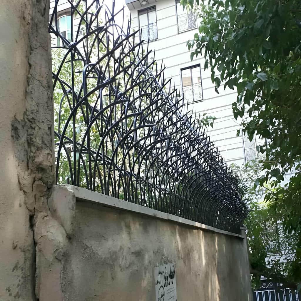 حفاظ شاخ گوزنی در نسیم شهر