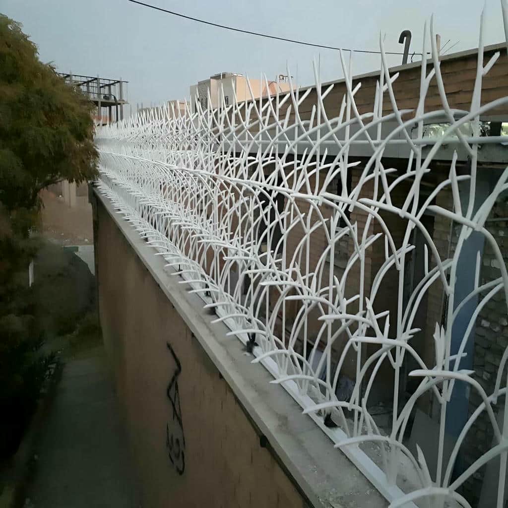 قیمت حفاظ شاخ گوزنی دیوار بلند در سقز