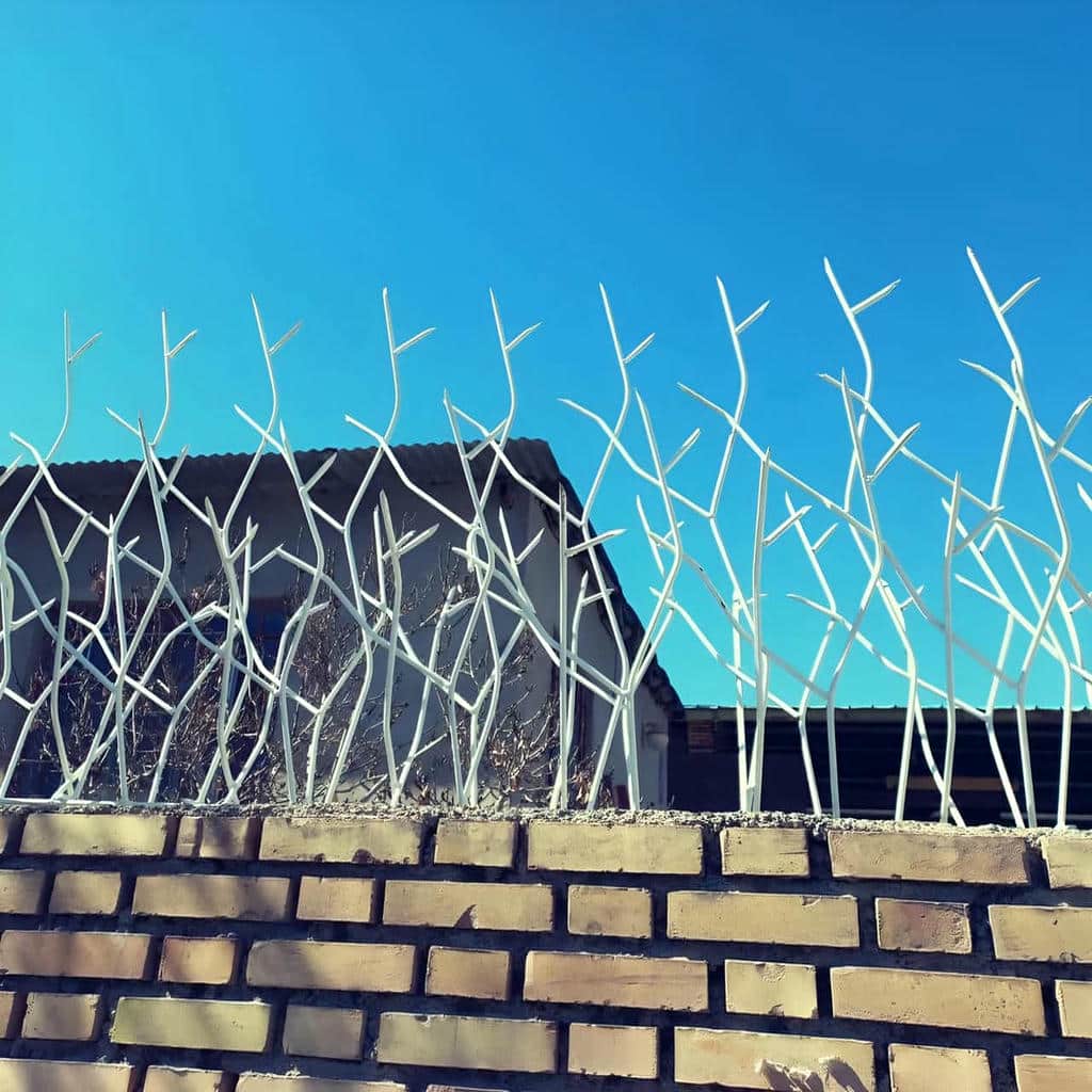 خرید حفاظ شاخ گوزنی پرتراکم در همدان