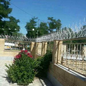 حفاظ شاخ گوزنی در ایلام