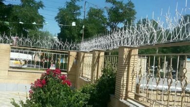حفاظ شاخ گوزنی در ایلام