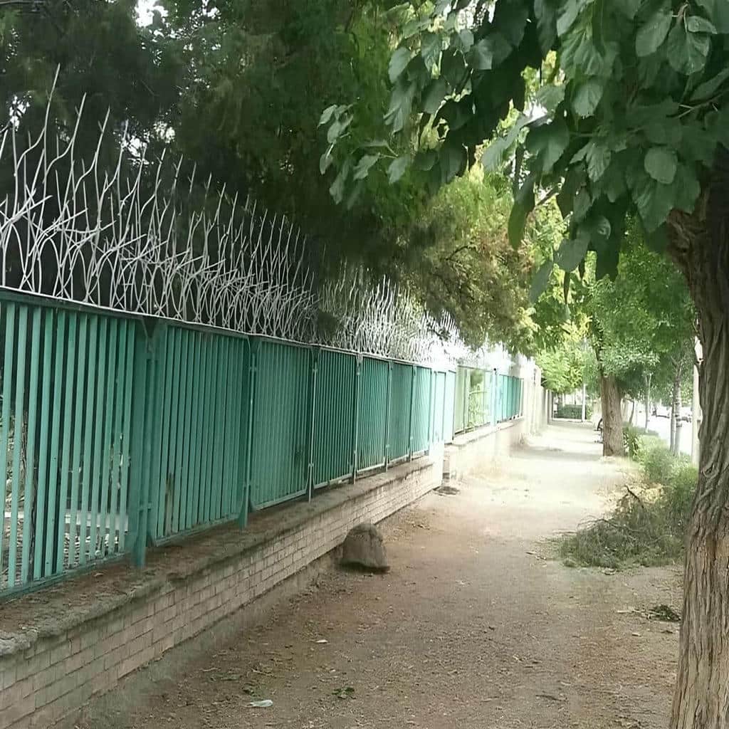 قیمت حفاظ شاخ گوزنی متعادل در فیروزکوه