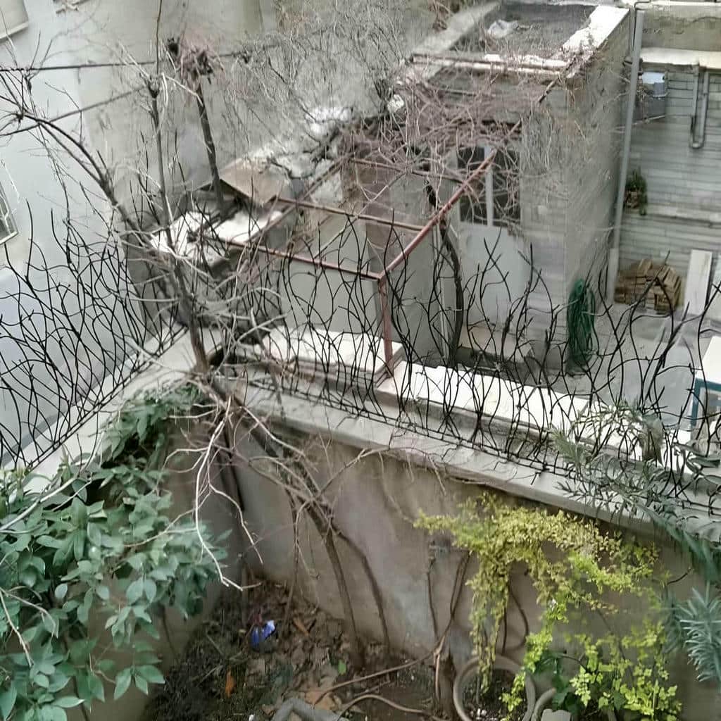 خرید حفاظ شاخ گوزنی دیوار بلند در بابل