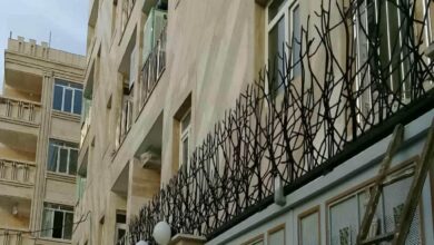 حفاظ شاخ گوزنی در رشت