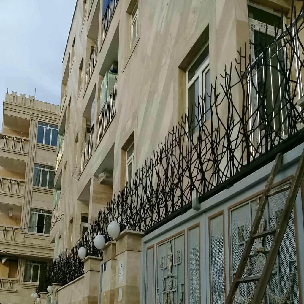 حفاظ شاخ گوزنی در رشت