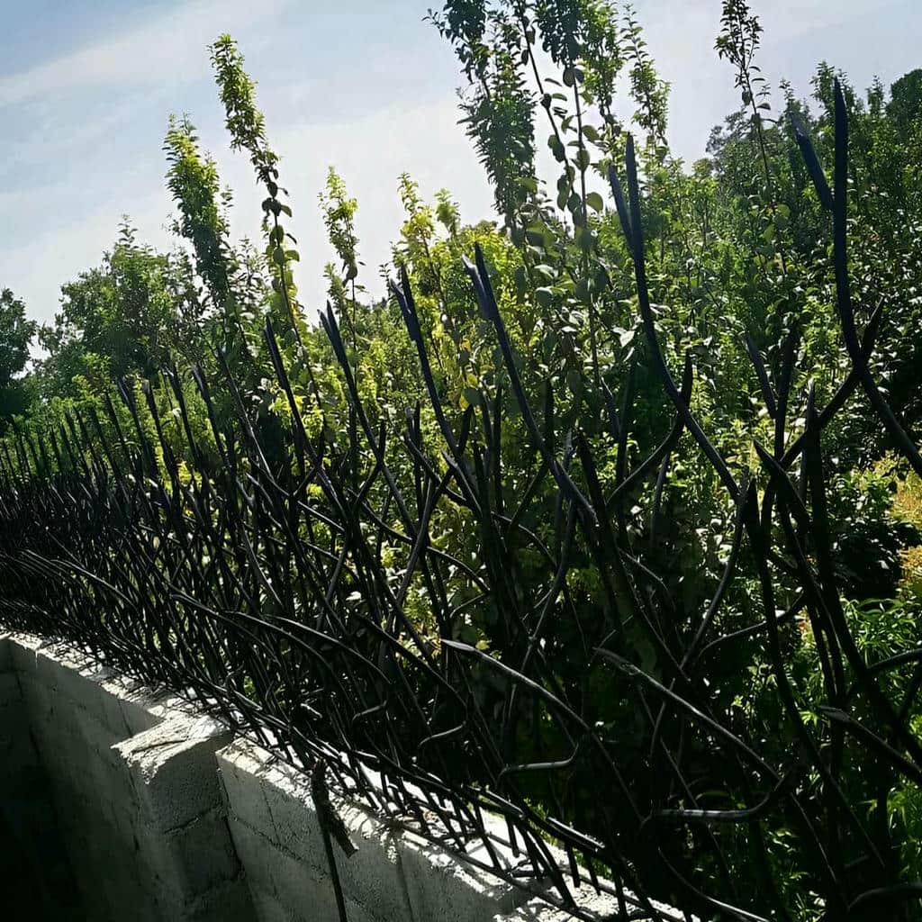 فروش حفاظ شاخ گوزنی روی دیوار ساختمان در استان گلستان