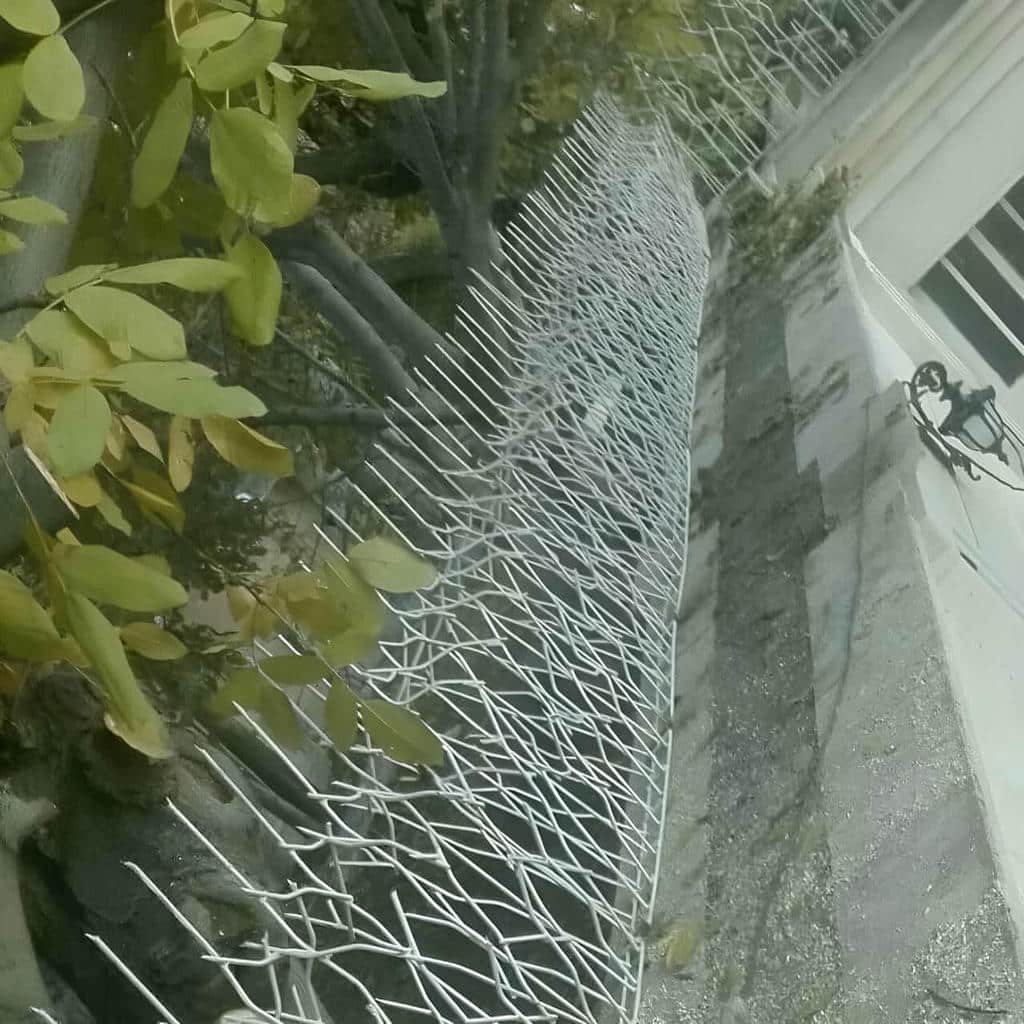 کارخانه حفاظ شاخ گوزنی اتصال تقویتی در یزد