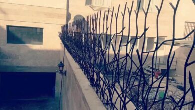 حفاظ شاخ گوزنی در فردیس کرج