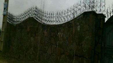 حفاظ شاخ گوزنی در فیروزکوه