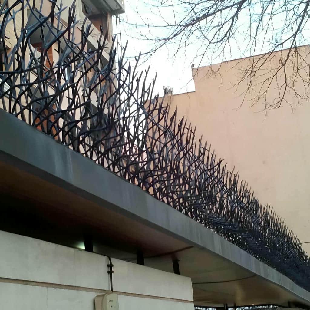 حفاظ شاخ گوزنی در ملارد