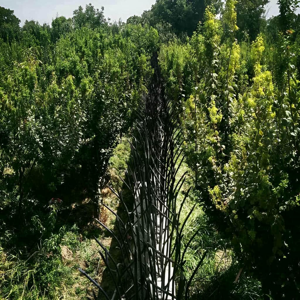 خرید حفاظ شاخ گوزنی تراکم بالا در استان خوزستان