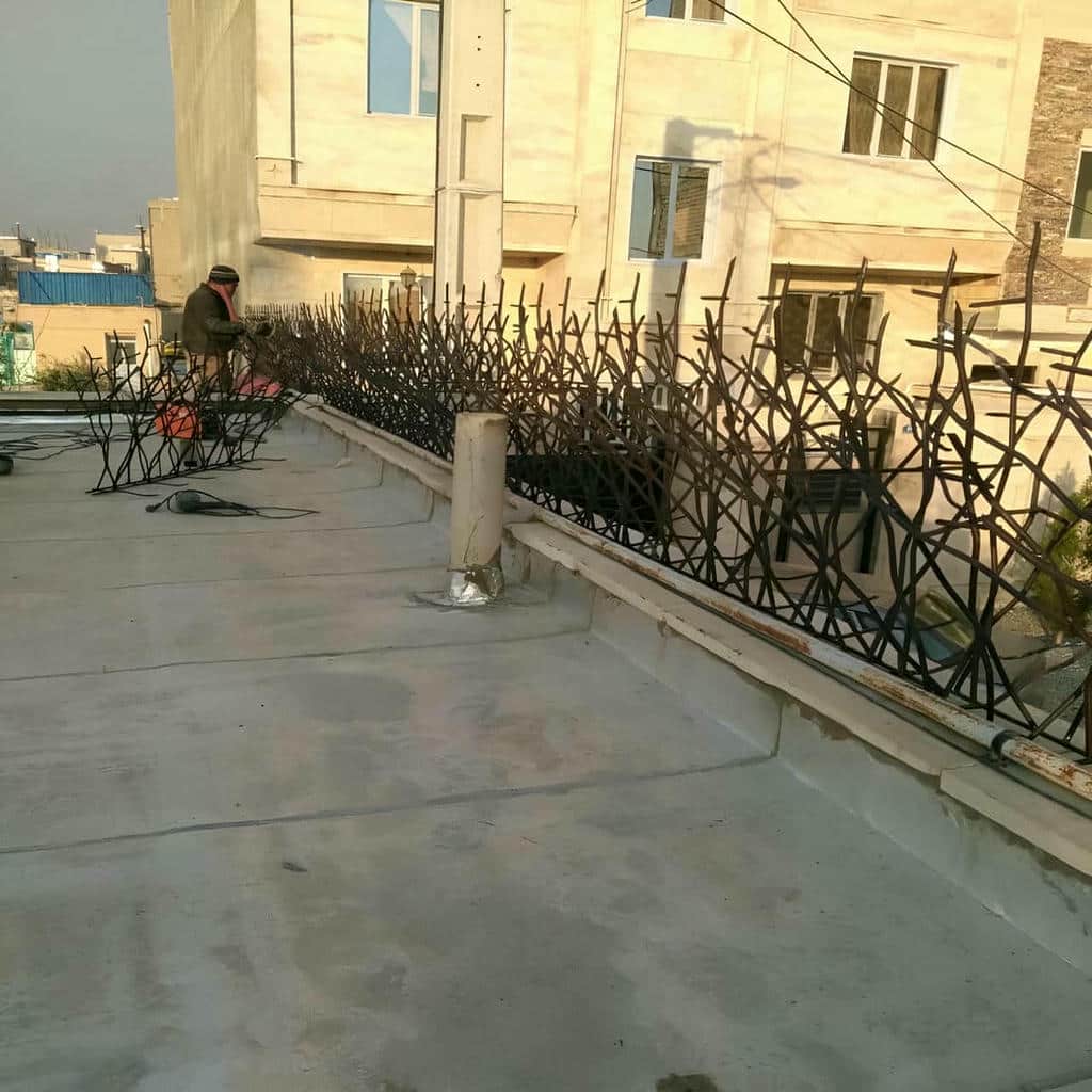قیمت حفاظ شاخ گوزنی شاخه بلند در گنبدکاووس