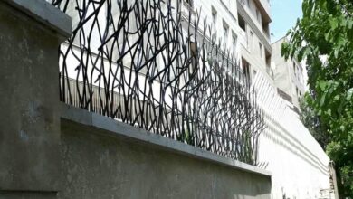 حفاظ شاخ گوزنی در محمودآباد