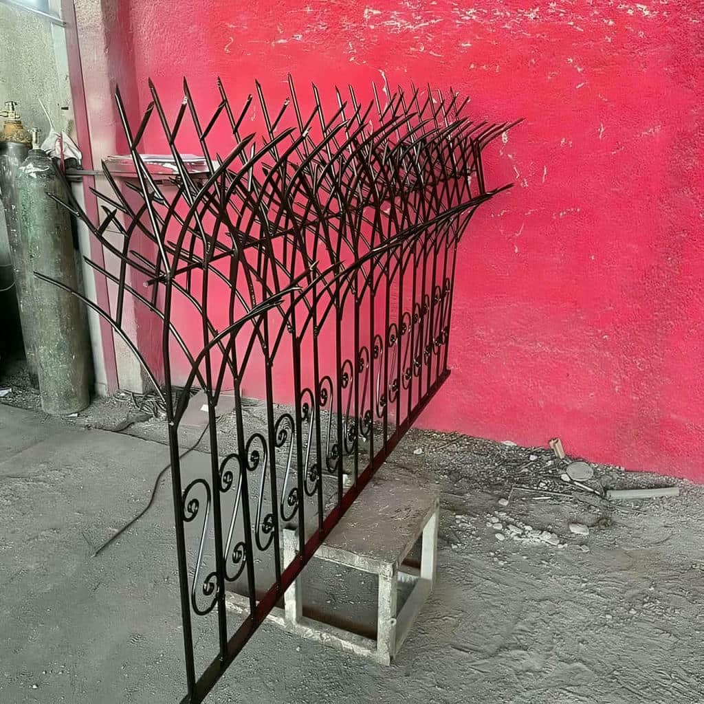 حفاظ شاخ گوزنی در کمال شهر