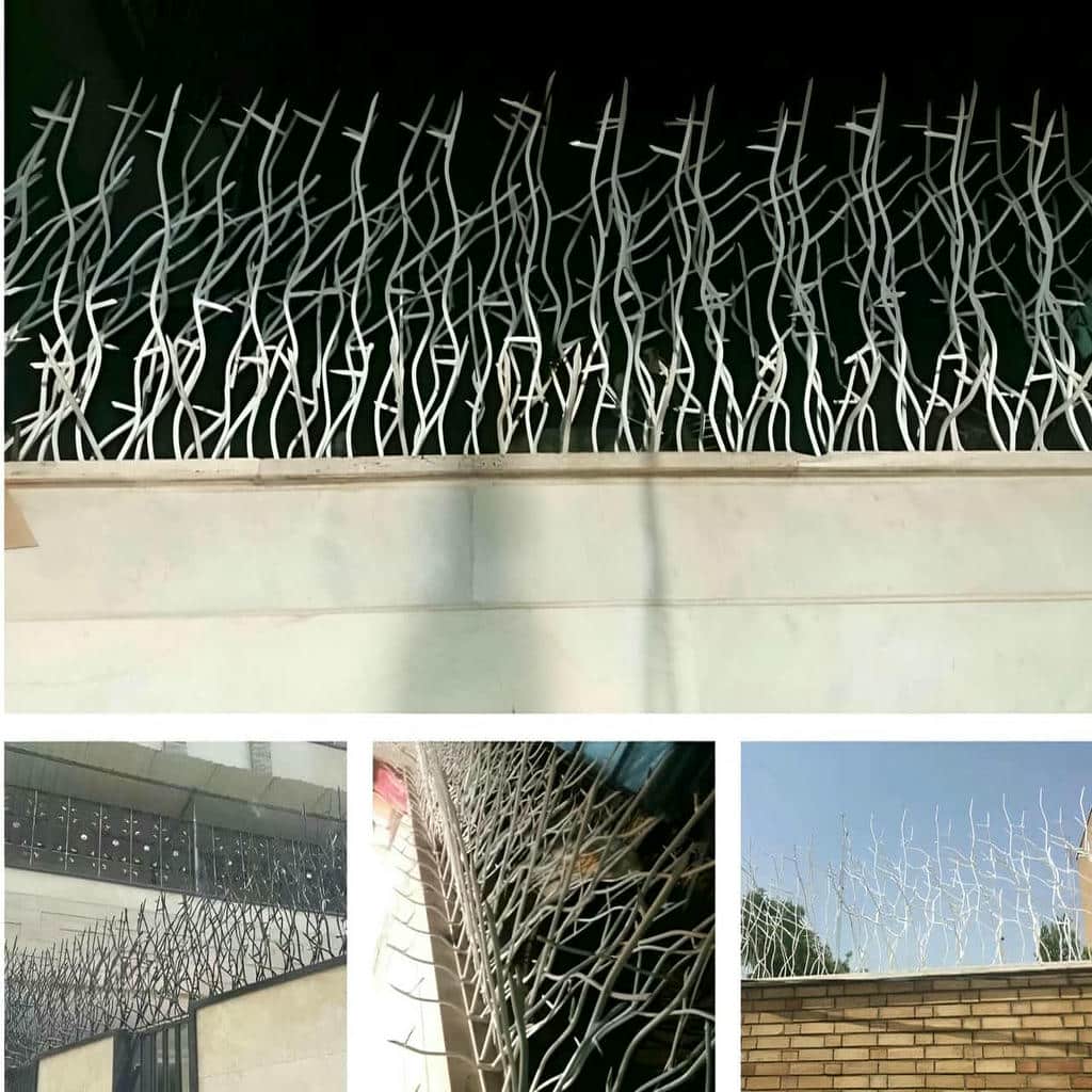حفاظ شاخ گوزنی در شهرکرد