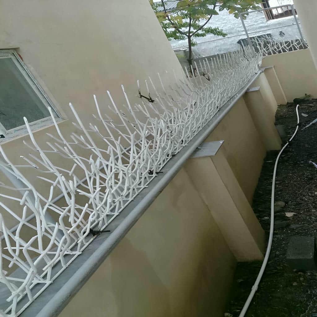 فروش حفاظ شاخ گوزنی اتصال مهندسی در آبسرد