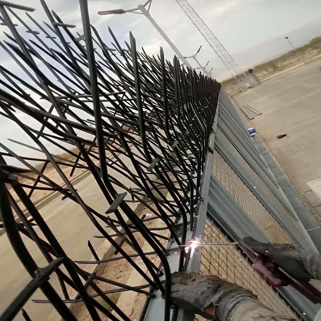 قیمت حفاظ شاخ گوزنی مناسب دیوار کوتاه در چابهار قیمت حفاظ شاخ گوزنی مناسب دیوار کوتاه در چابهار