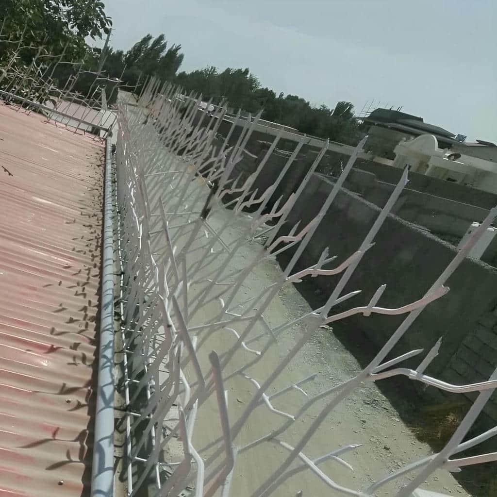 کارخانه حفاظ شاخ گوزنی اتصال تقویتی در رامسر