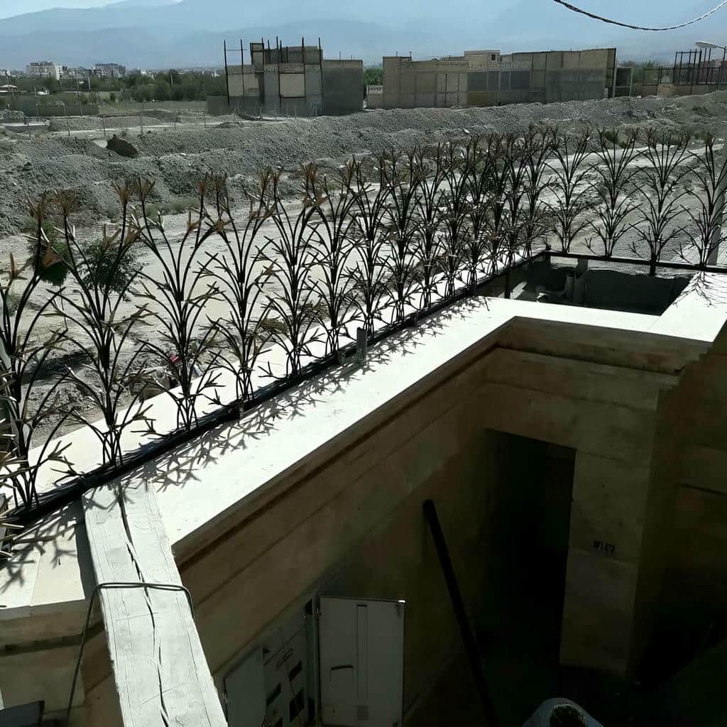 قیمت حفاظ شاخ گوزنی متعادل در رفسنجان