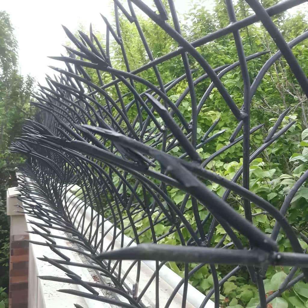 خرید حفاظ شاخ گوزنی نصب تراز در هشتگرد