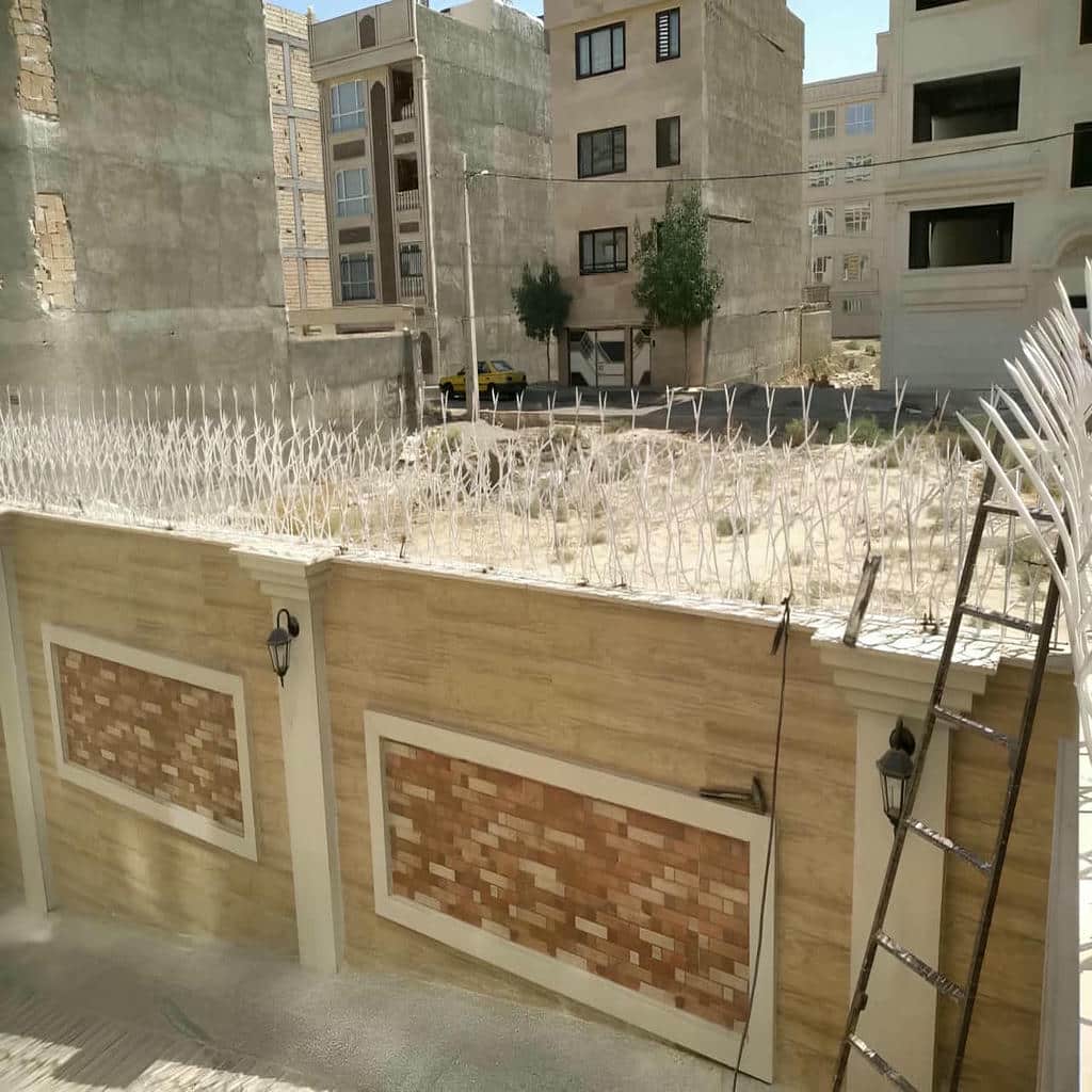 کارخانه حفاظ شاخ گوزنی ارتفاع متناسب در طالقان