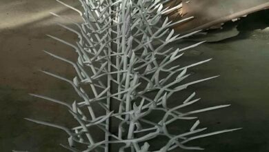 حفاظ شاخ گوزنی در اهواز