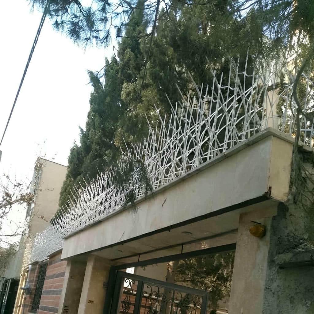 خرید حفاظ شاخ گوزنی تراز دقیق در آبسرد