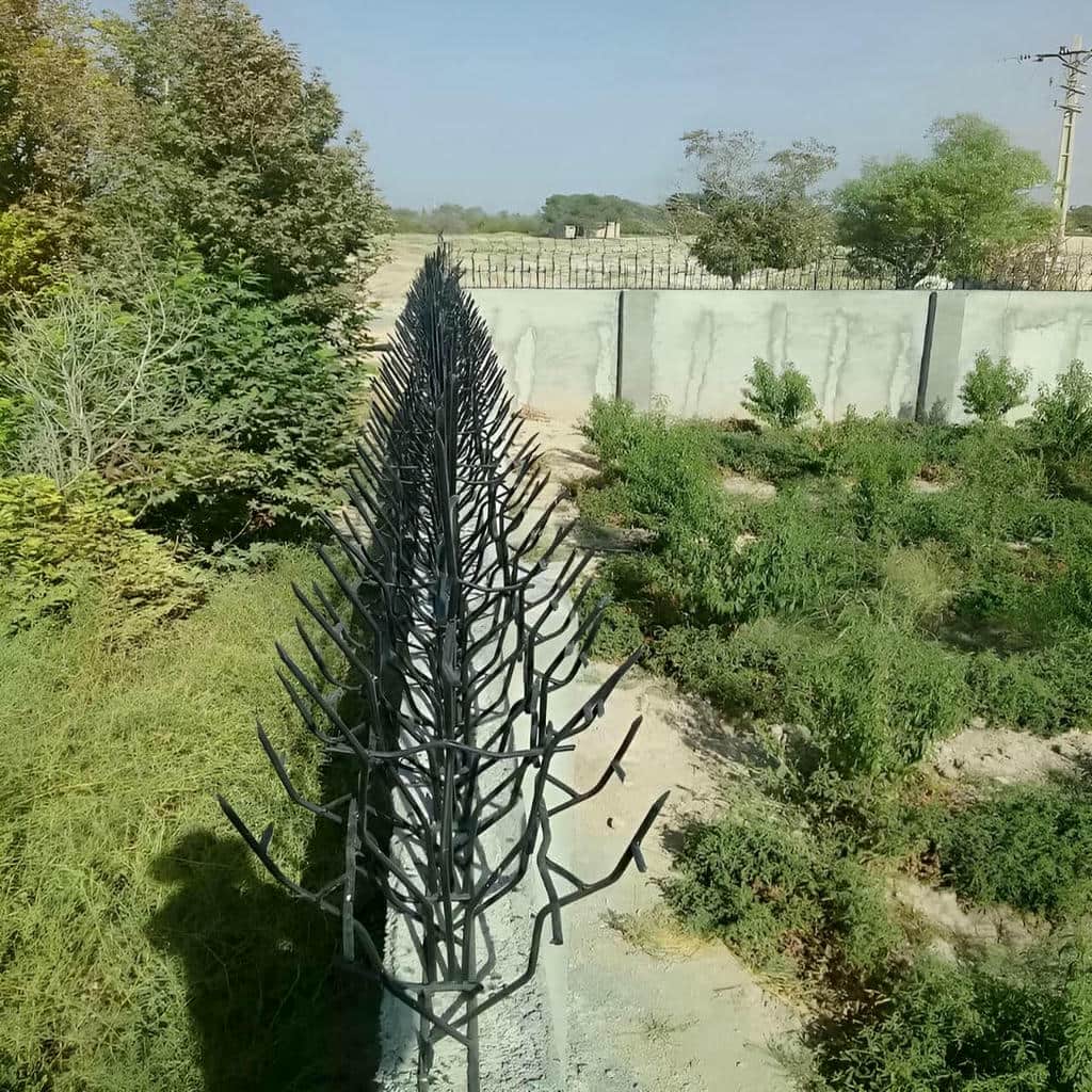 حفاظ شاخ گوزنی در استان گلستان