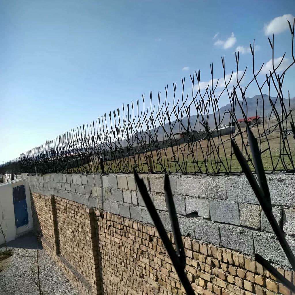 قیمت حفاظ شاخ گوزنی ارزش خرید در بجنورد قیمت حفاظ شاخ گوزنی ارزش خرید در بجنورد